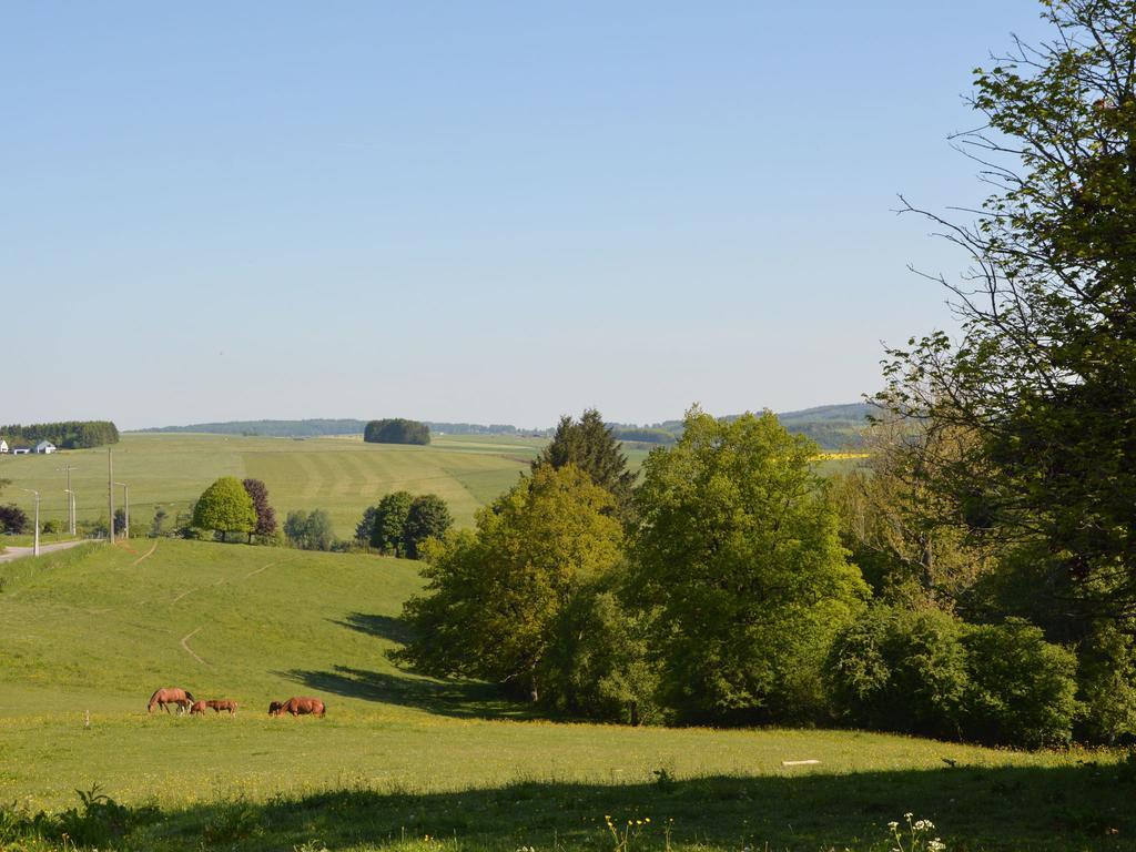 Attached Gite On The Edge Of The Forest Trois-Ponts Exterior photo