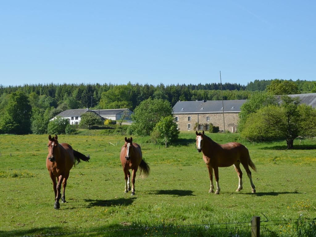 Attached Gite On The Edge Of The Forest Trois-Ponts Exterior photo